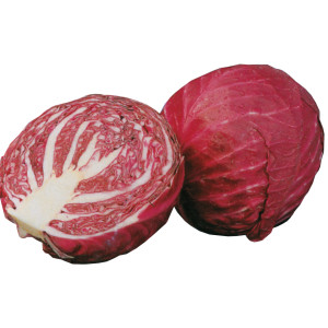 Chou cabus rouge Tête noire